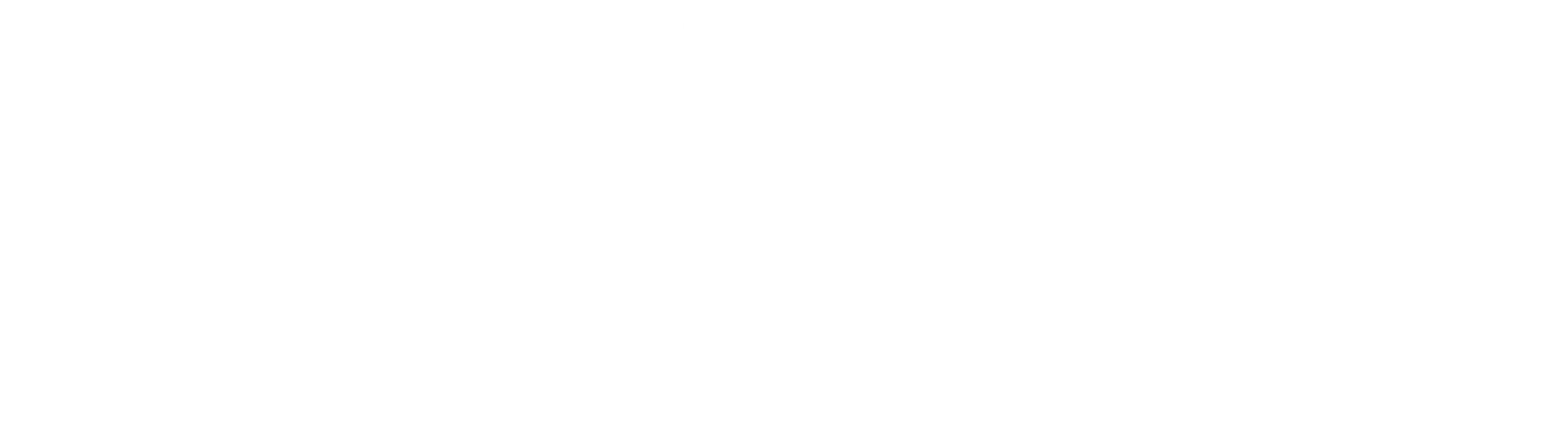 Noble_Logo_5_White_Png